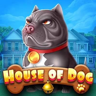 House-Of-Dog